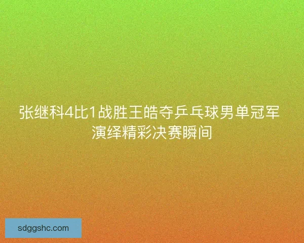 张继科4比1战胜王皓夺乒乓球男单冠军 演绎精彩决赛瞬间