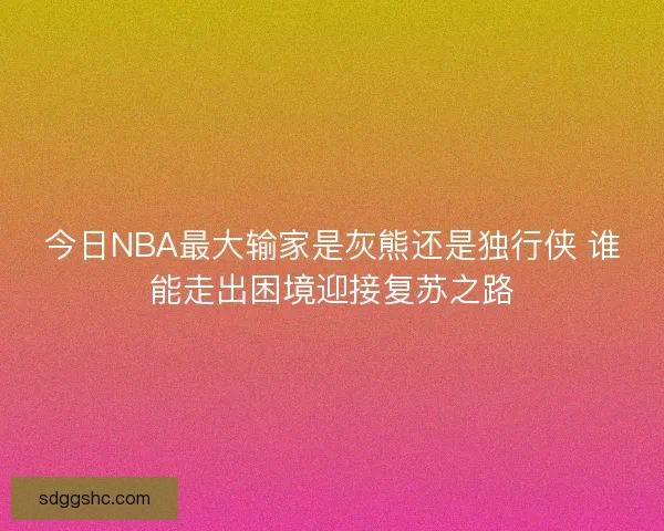 今日NBA最大输家是灰熊还是独行侠 谁能走出困境迎接复苏之路