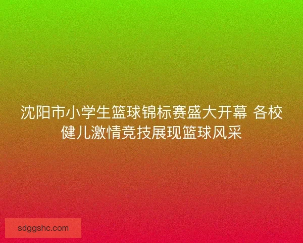 沈阳市小学生篮球锦标赛盛大开幕 各校健儿激情竞技展现篮球风采