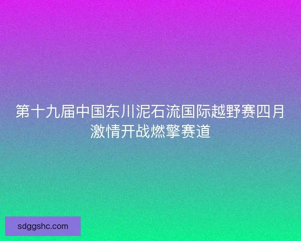 第十九届中国东川泥石流国际越野赛四月激情开战燃擎赛道
